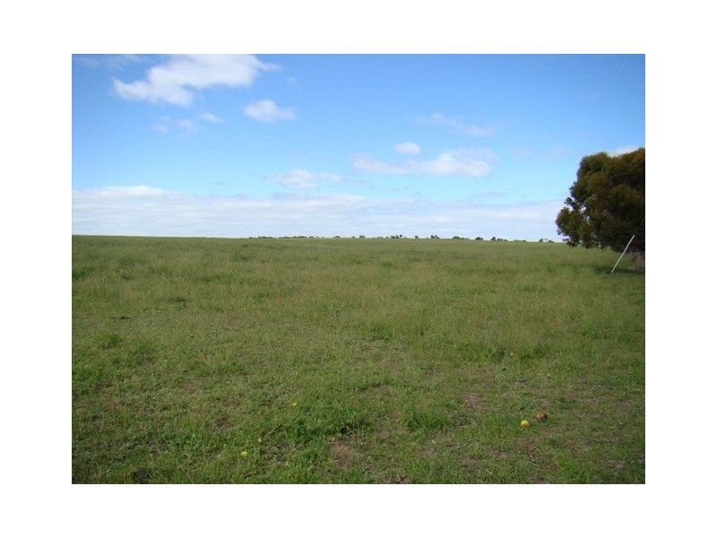 Lot 128/ Wye Farm Road, Yardarino WA 6525
