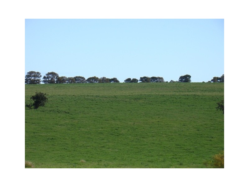 Lot 128/ Wye Farm Road, Yardarino WA 6525