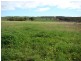Lot 128/ Wye Farm Road, Yardarino WA 6525