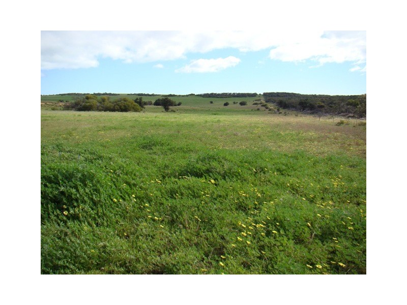 Lot 128/ Wye Farm Road, Yardarino WA 6525