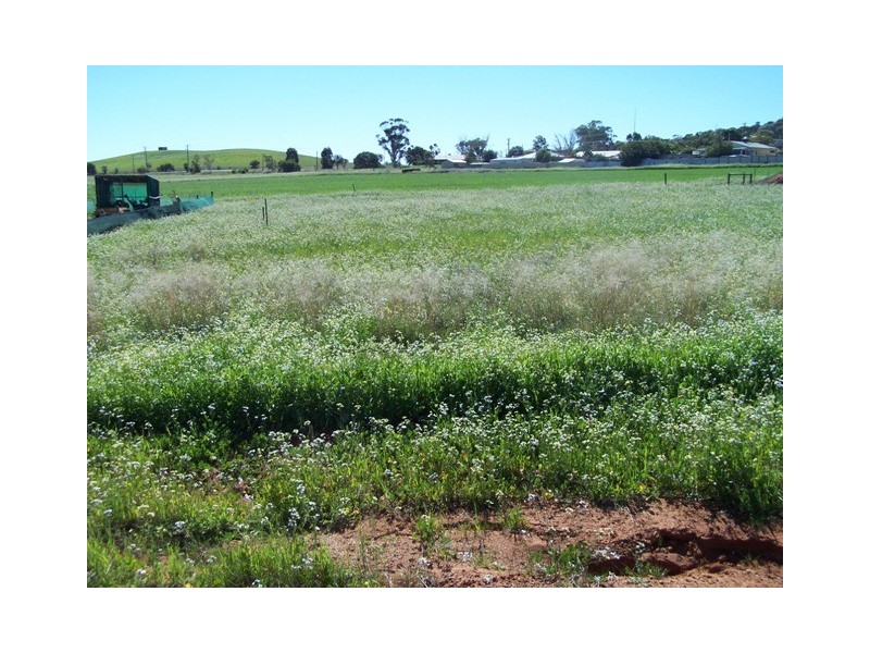 14 Green Drive, Nabawa WA 6532