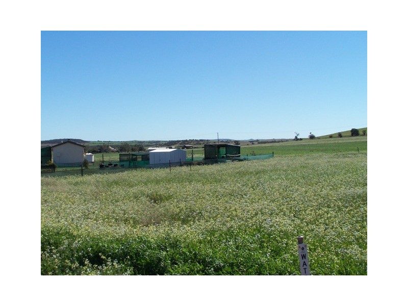 14 Green Drive, Nabawa WA 6532