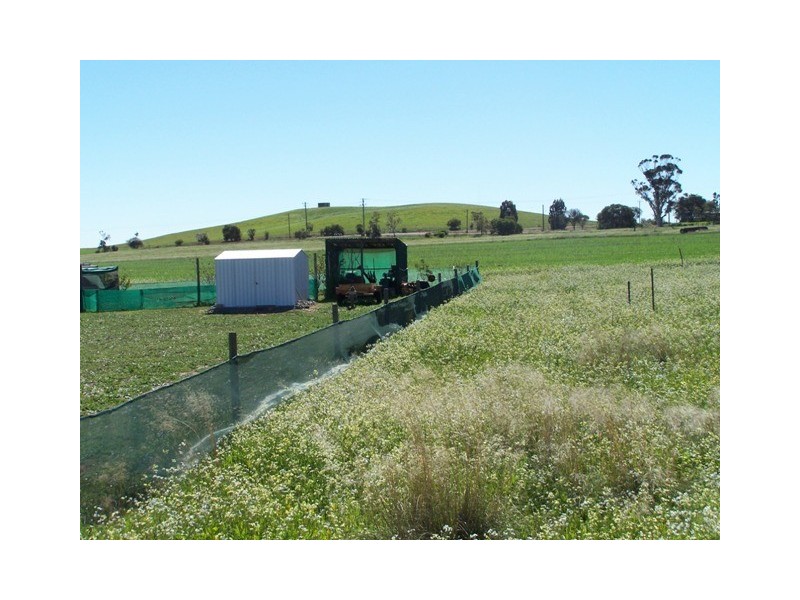 14 Green Drive, Nabawa WA 6532