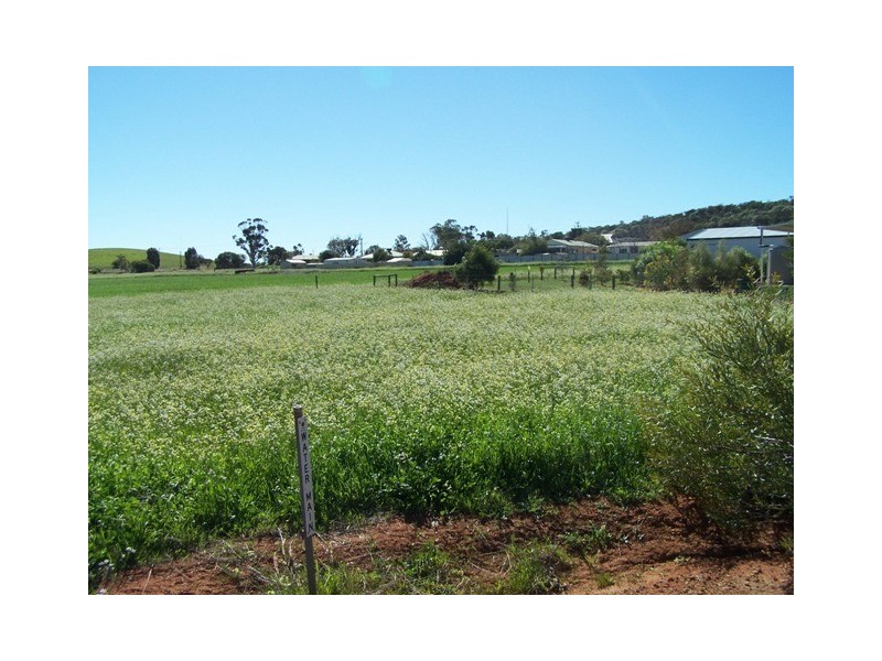 16 Green Drive, Nabawa WA 6532