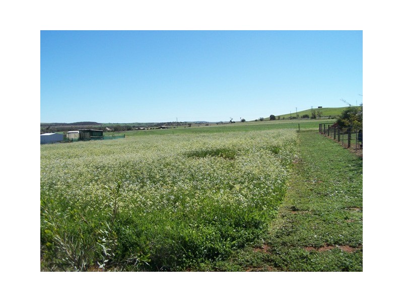 16 Green Drive, Nabawa WA 6532