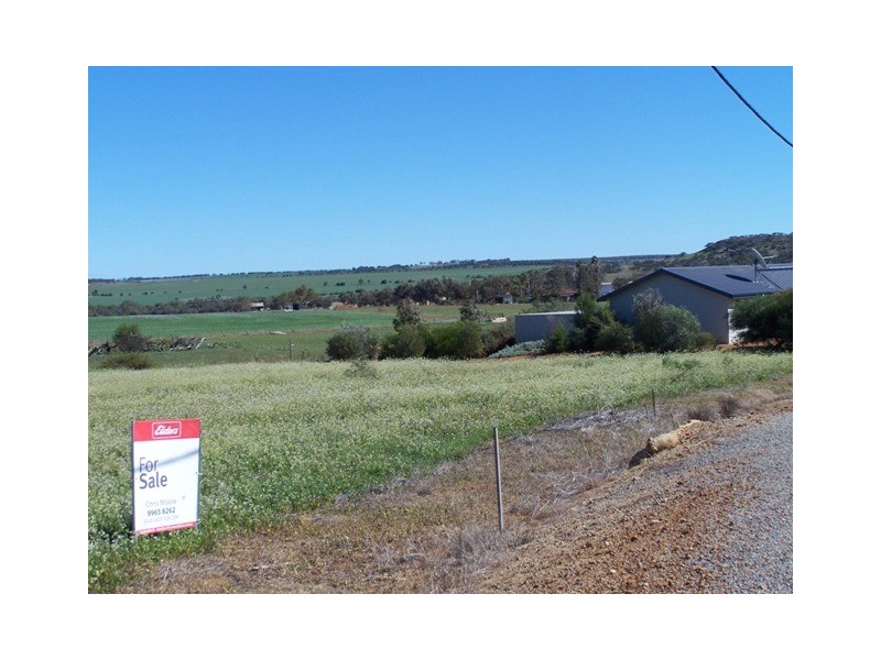 16 Green Drive, Nabawa WA 6532