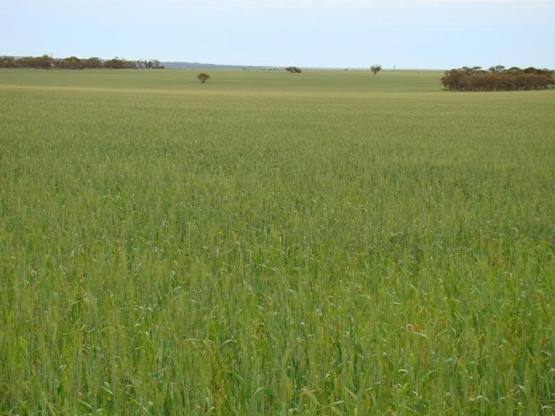 N/ A Murphy Road, Ajana WA 6532