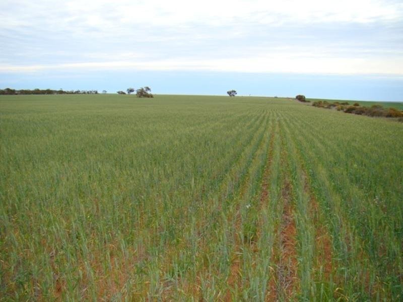 N/ A Murphy Road, Ajana WA 6532