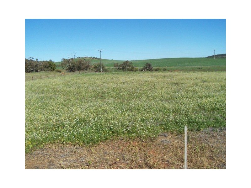 21 GREEN Drive, Nabawa WA 6532