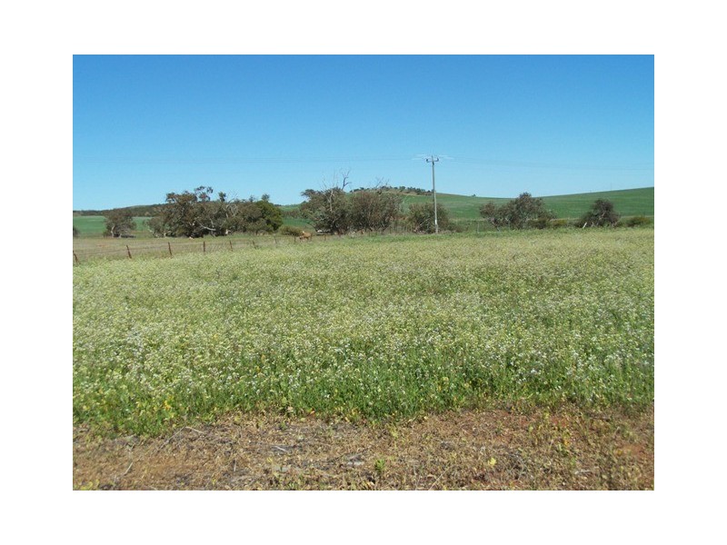 21 GREEN Drive, Nabawa WA 6532