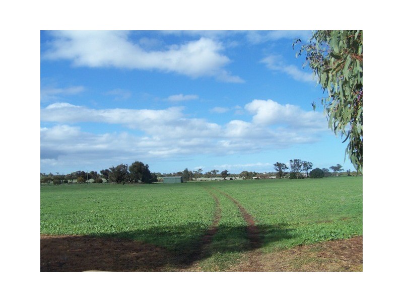 3 Hill River Way, Moonyoonooka WA 6532