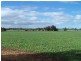 3 Hill River Way, Moonyoonooka WA 6532
