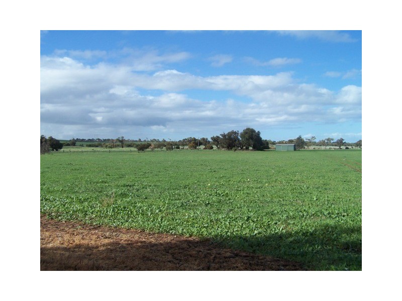 3 Hill River Way, Moonyoonooka WA 6532