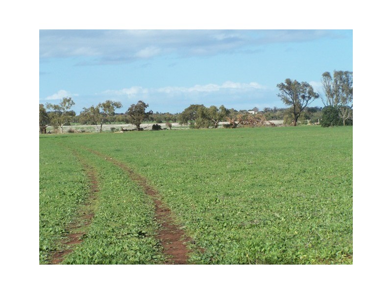 3 Hill River Way, Moonyoonooka WA 6532
