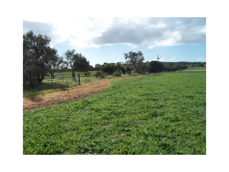 3 Hill River Way, Moonyoonooka WA 6532