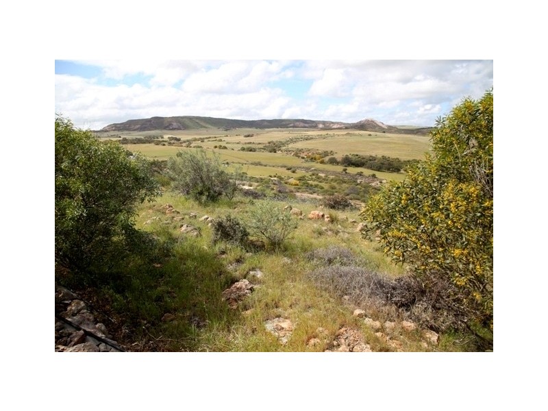 46 Royce Place, White Peak WA 6532