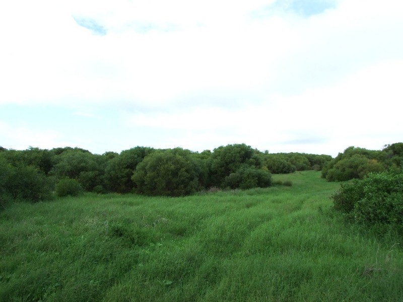 2 Okahoma Road, Glenfield WA 6532