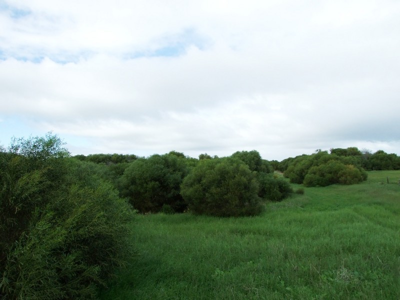 2 Okahoma Road, Glenfield WA 6532