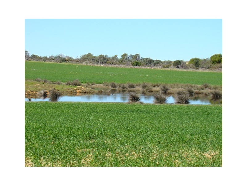 Lot 103 Ajana-Kalbarri Road, Ajana WA 6532