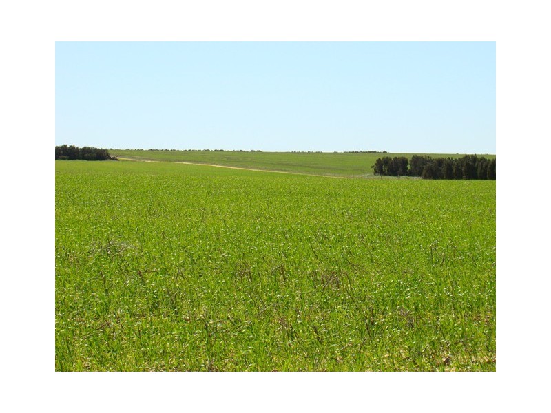 Lot 103 Ajana-Kalbarri Road, Ajana WA 6532