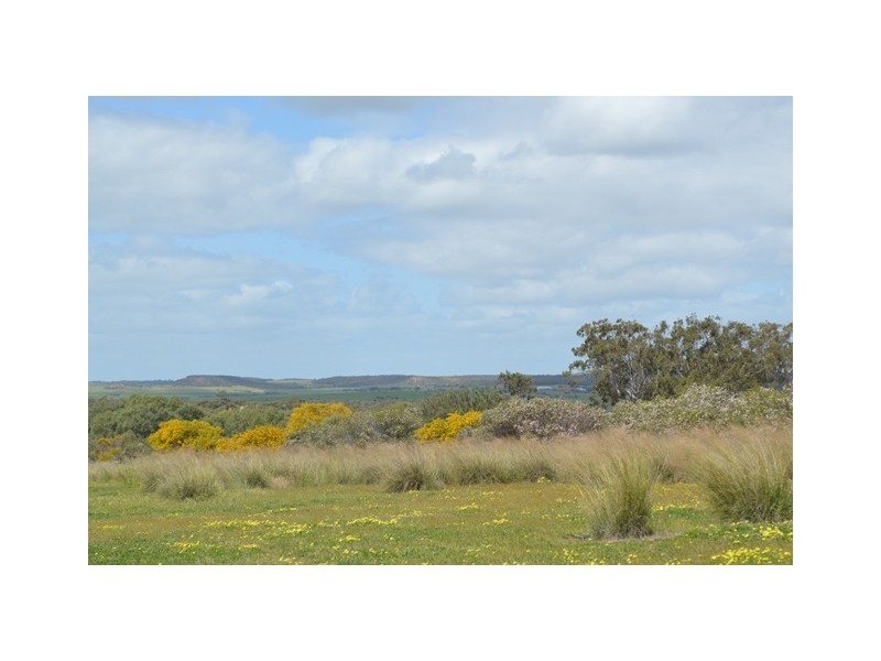 341 Nanson-Howatharra Road, Nanson WA 6532