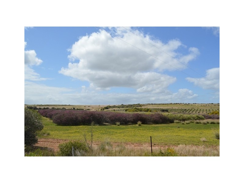 341 Nanson-Howatharra Road, Nanson WA 6532