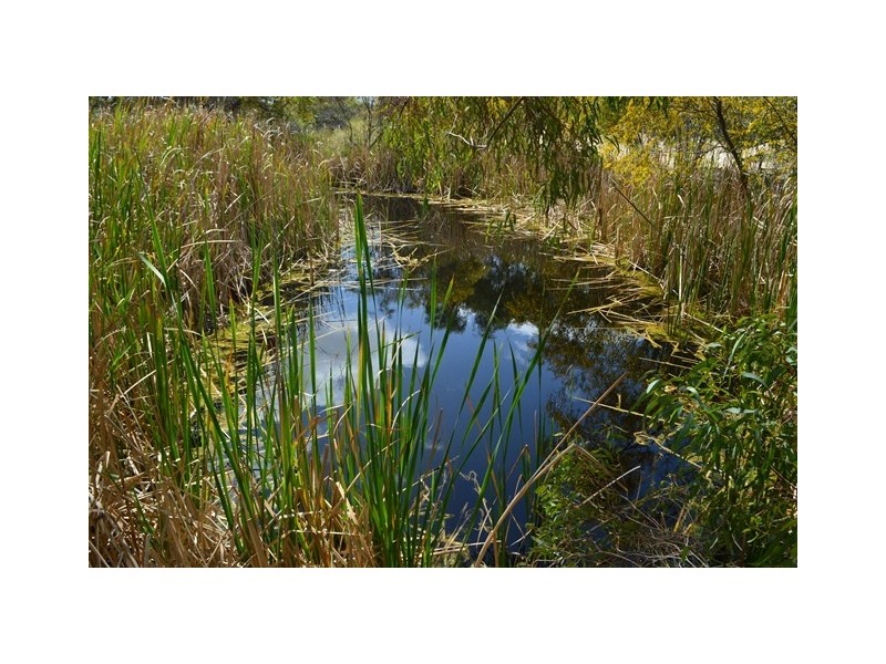 341 Nanson-Howatharra Road, Nanson WA 6532