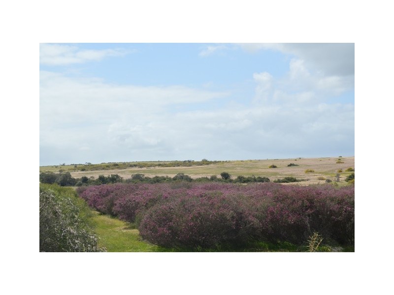 341 Nanson-Howatharra Road, Nanson WA 6532