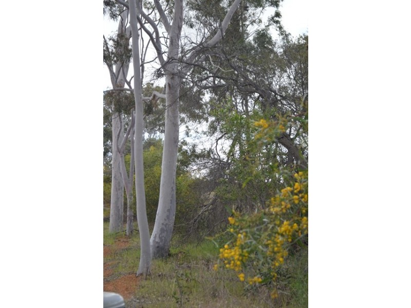 341 Nanson-Howatharra Road, Nanson WA 6532