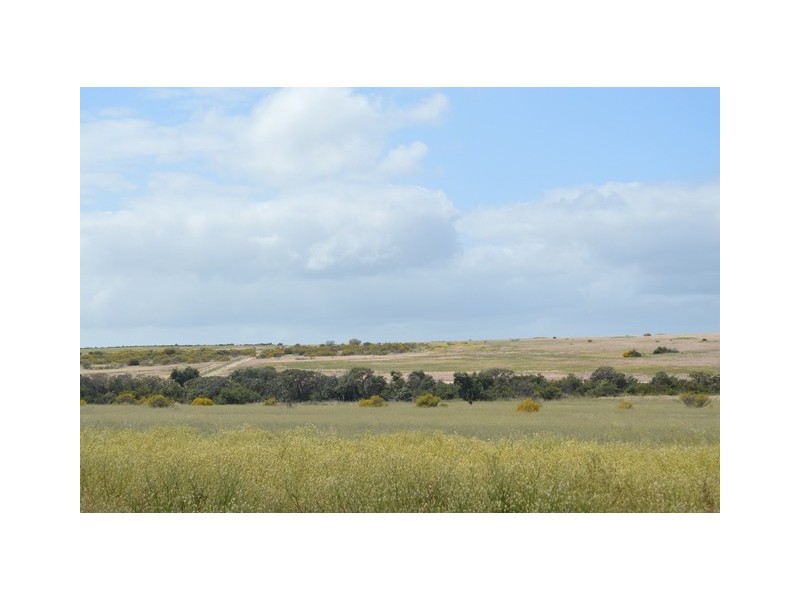 341 Nanson-Howatharra Road, Nanson WA 6532