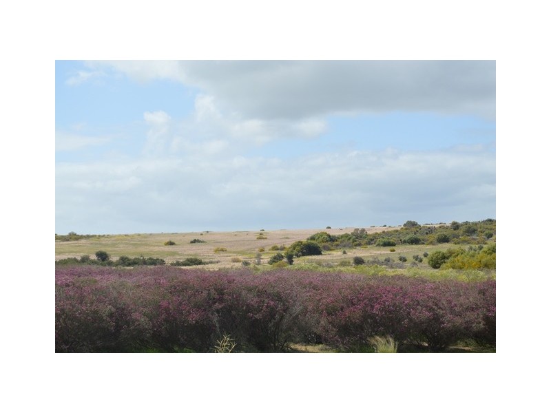 341 Nanson-Howatharra Road, Nanson WA 6532