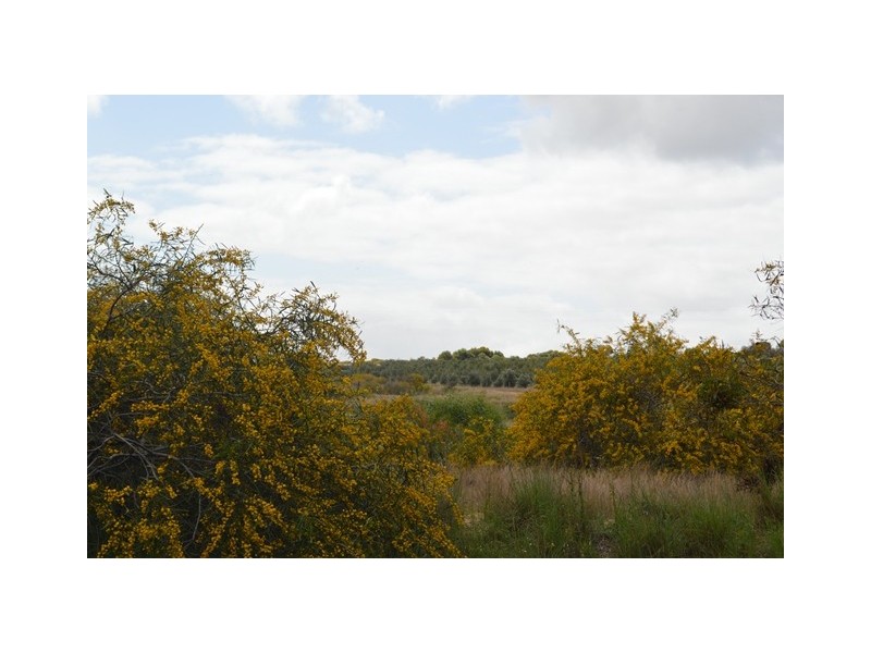 341 Nanson-Howatharra Road, Nanson WA 6532