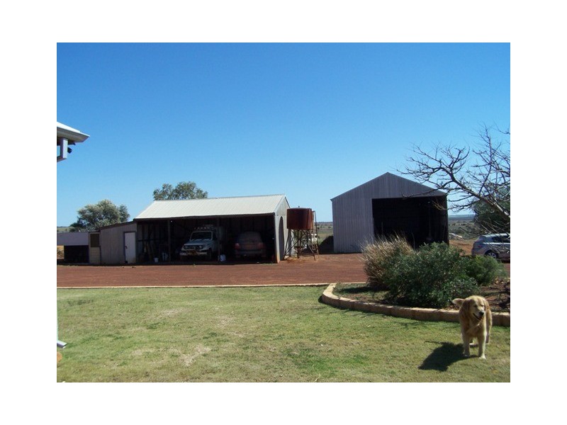 75 Carnarvon-Mullewa Rd, Mullewa WA 6630