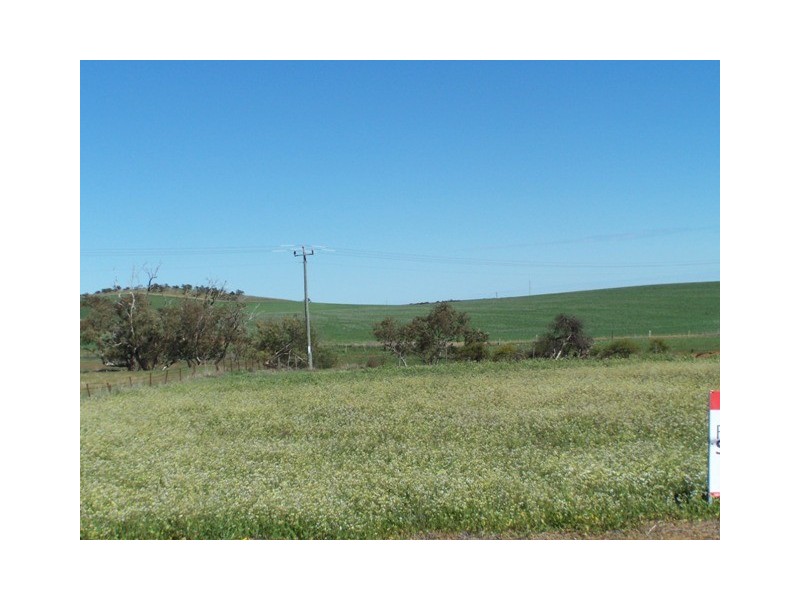 21 Green Drive, Nabawa WA 6532