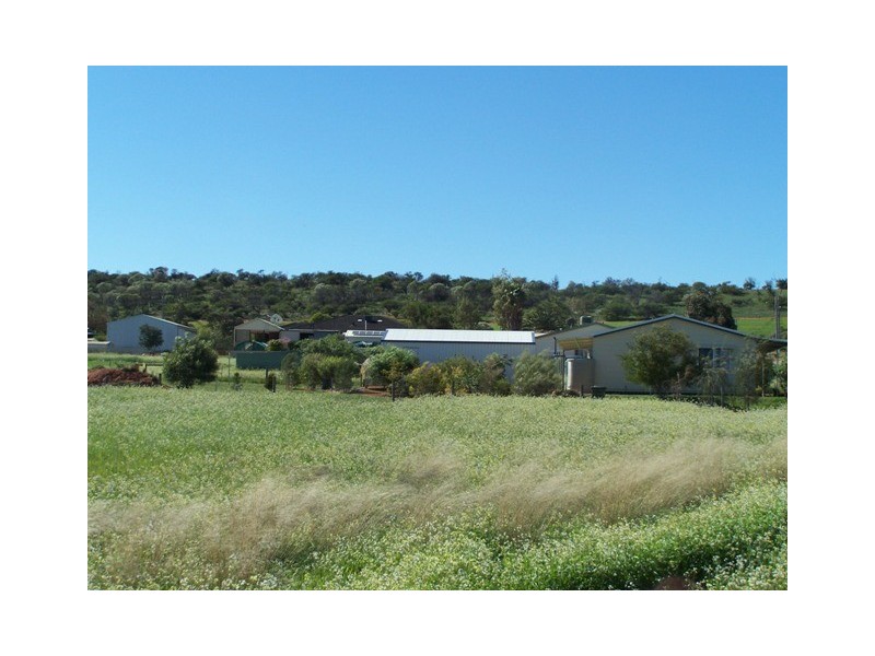 21 Green Drive, Nabawa WA 6532