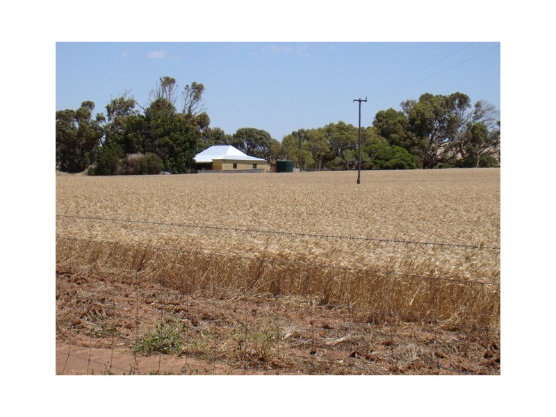 177 Crampton Road, South Greenough WA 6528