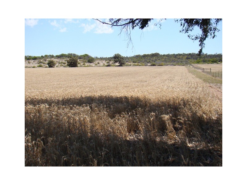 177 Crampton Road, South Greenough WA 6528