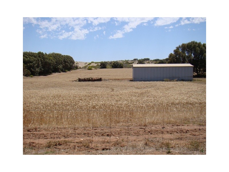 177 Crampton Road, South Greenough WA 6528