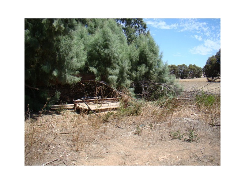 177 Crampton Road, South Greenough WA 6528