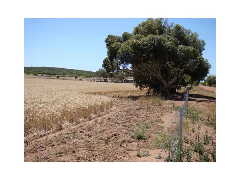 177 Crampton Road, South Greenough WA 6528