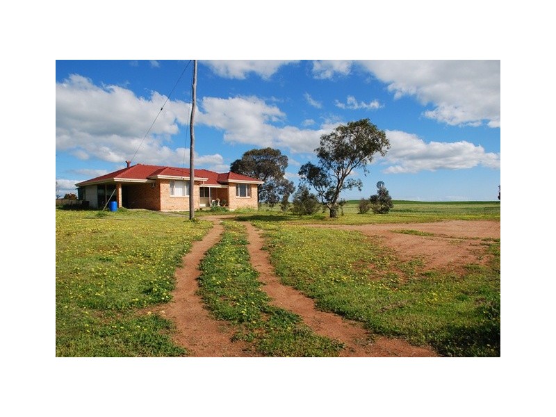 478 Indialla Road, Nabawa WA 6532