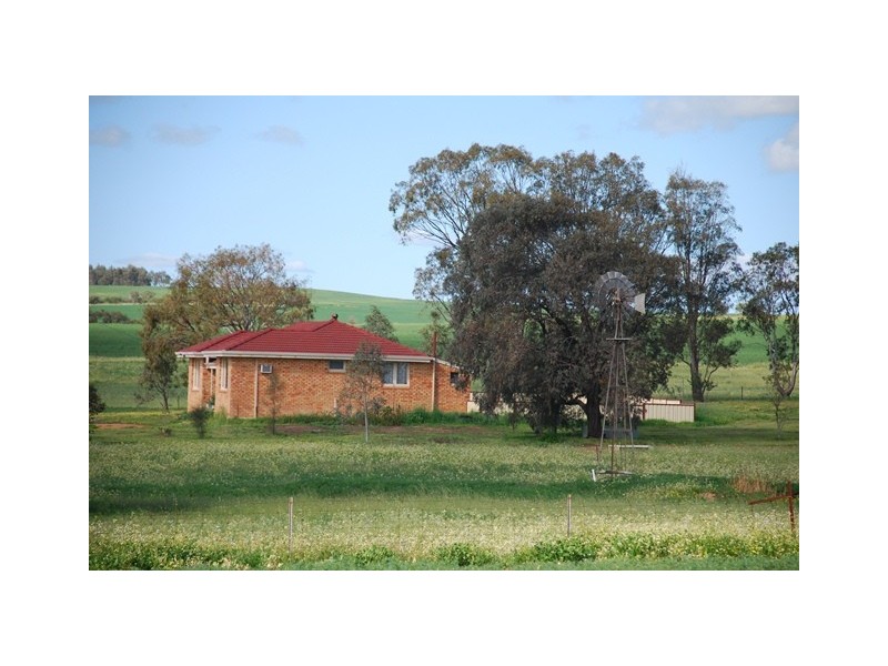 478 Indialla Road, Nabawa WA 6532