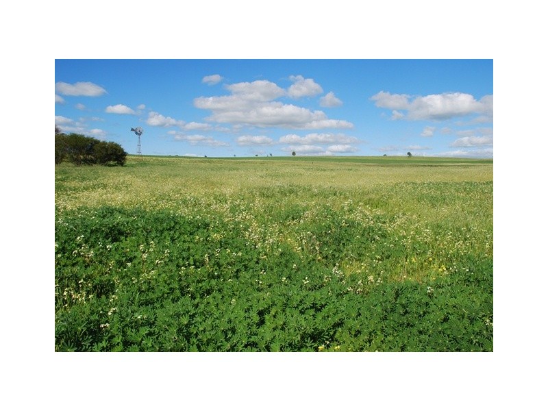 478 Indialla Road, Nabawa WA 6532