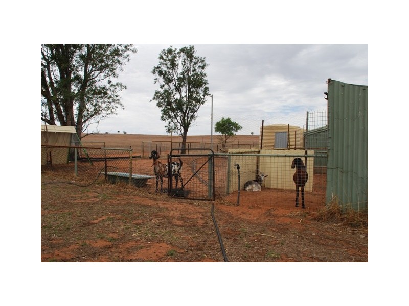 478 Indialla Road, Nabawa WA 6532