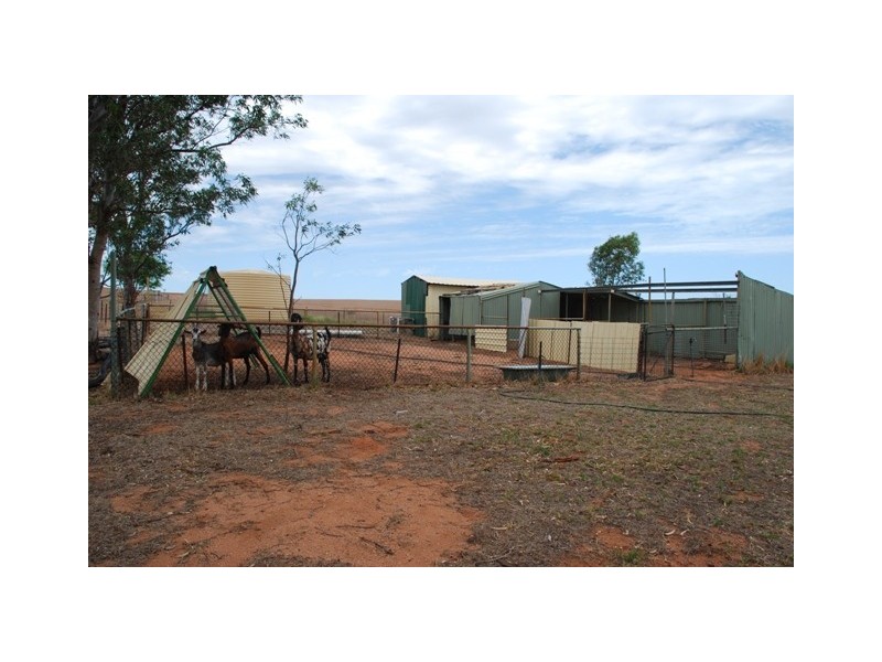 478 Indialla Road, Nabawa WA 6532