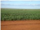 Lot 11 Carnavon-Mullewa Road, Mullewa WA 6630