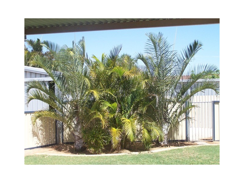 212 Chapman Valley Road, Waggrakine WA 6530