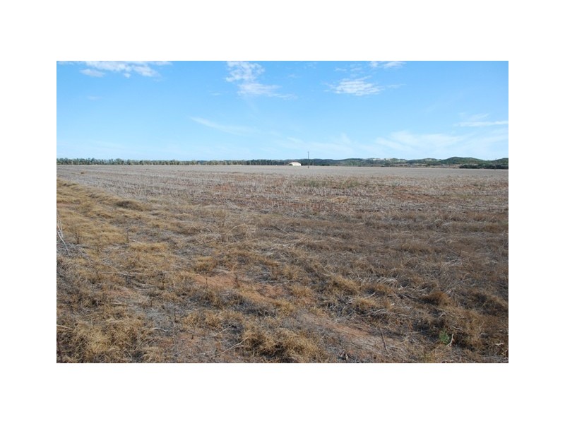 201 Company Road, Greenough WA 6532