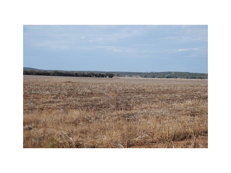 201 Company Road, Greenough WA 6532