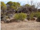 Lot 11 Geraldton-Mt Magnet Road, Wicherina WA 6532